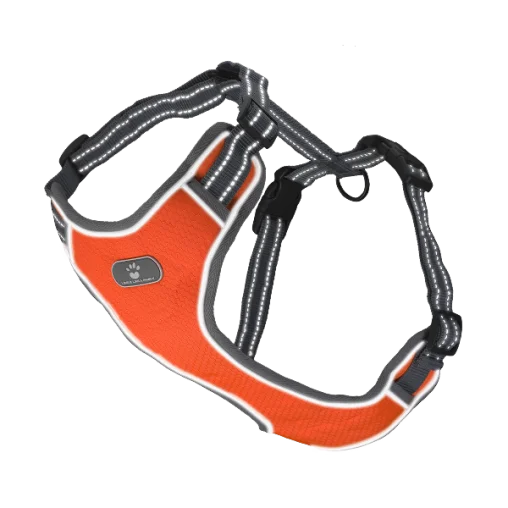 Шлея анатомічна світловідбивна AnimAll HL-8005-1 для собак, колір помаранчевий, XL 46-92 см